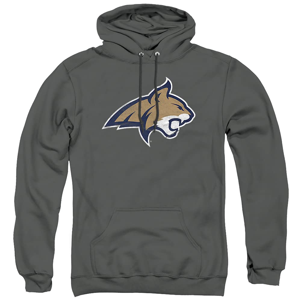 LOGOVISION Official Collegiate Distressed Primary Logo Adult Pullover Hoodie Collection — view 163