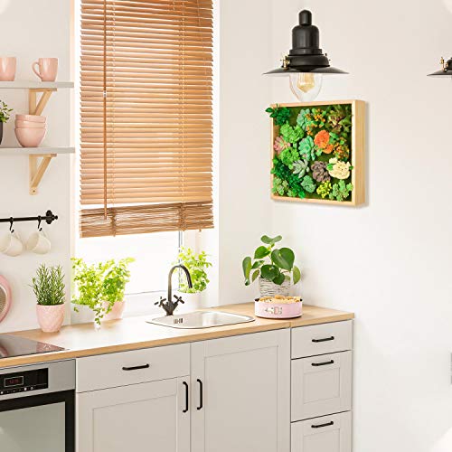 Homelifairy Artificial Succulent Wall Decor Faux Plants Art For Home Decor Indoor With Pine Frame Hanging Living Room Kitchen Wall Decor,12X12 Inch #TOP4