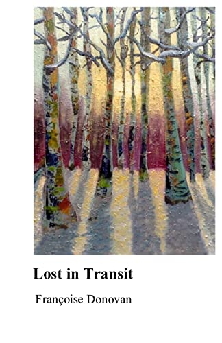 Lost in Transit
