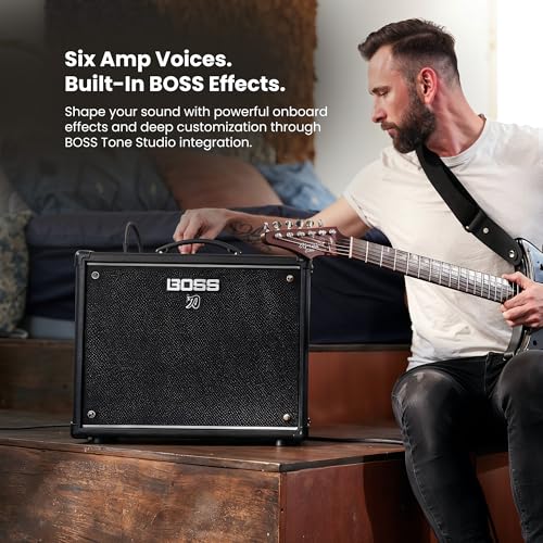 Professional Guitar Amplifier Tube Combo