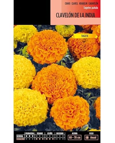 Semillas de Tagete Enano Mix Color Semillas de Flores Amarillas y Naranjas