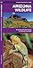 Arizona Wildlife: A Folding Pocket Guide to Familiar Animals (Wildlife and Nature Identification)