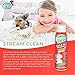Stream Clean Carpet Stain and Odor Eliminator: Professional Strength, Deep Cleaning Enzyme Action, Destroys Through Oxidation Catalysis, No Scrubbing Needed, 18 Ounce