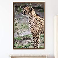 Framed Canvas Wall Art Cheetah Animals Cheetah Dramatic Living Room Multicolor Photography - 16x24 inches