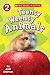 Produktbild Teensy Weensy Animals