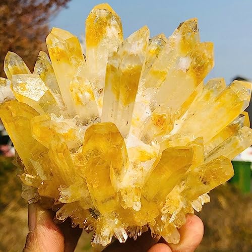 Cluster de Quartz Fantôme Jaune | Cristal Naturel 200-250g
