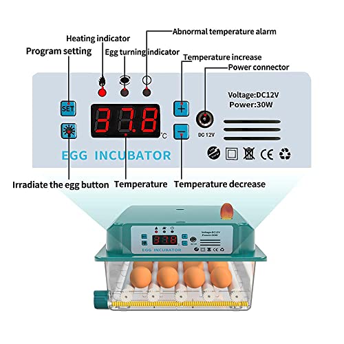 Brutmaschine im Test – welcher Brutapparat ist der Beste? | hoftechnik.at