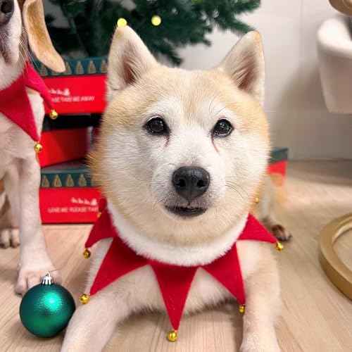 Weihnachtskostüm Hunde Katzen, Weihnachten Hundekostüm Halsband mit Glöckchen Weihnachts Kostüm Halsbänder, Rot Hundehalsband Schal Outfit Geschenk für Klein Mittlere Groß Hund Katze Welpen (M)