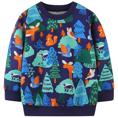 Image of AIWUHE Toddler Cotton Sweatshirt Boys Girls Pullover Long Sleeve Tops 2-6Y | Tops Blouse, Cotton T-Shirt, Fall Winter Clothes