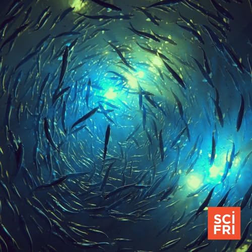 How Sound Rules Life Underwater Podcast Por  arte de portada