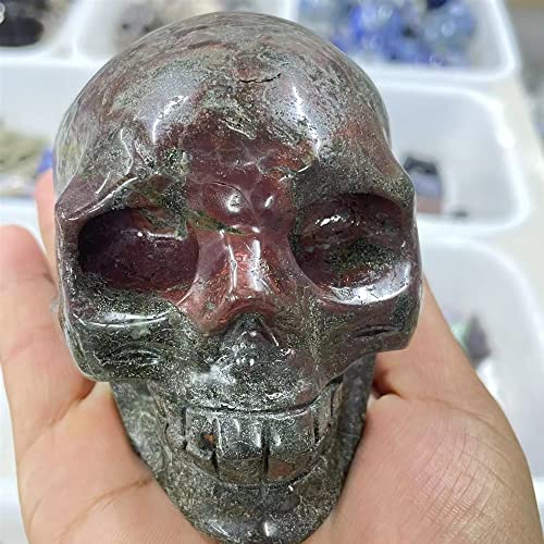 Dracaena Quartz Skull cadeau idéal cristal de décoration 450g - 4
