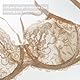 DotVol Damen Große Größen Minimizer BH Durchsichtige Ungepolsterte Spitze Unterwäsche Alltag Bra mit Schnürung(Beige, 95E)