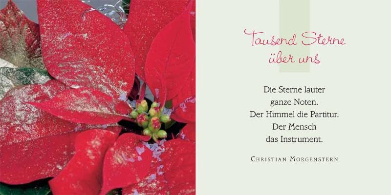 Zu Weihnachten und Neujahr