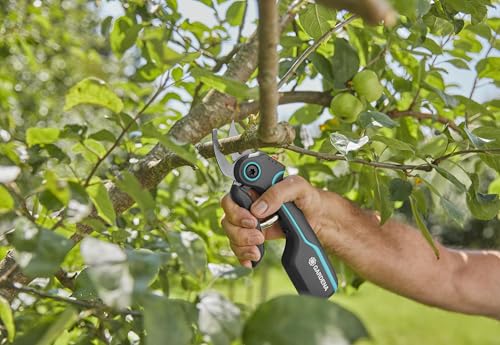 GARDENA AssistCut : Sécateur sans Fil avec Un Diamètre de Coupe de 25 mm, pour Couper Facilement et sans Effort Les Branches, Les Jeunes Pousses et Les Fleurs, avec Câble de Recharge USB-C (12222-20)