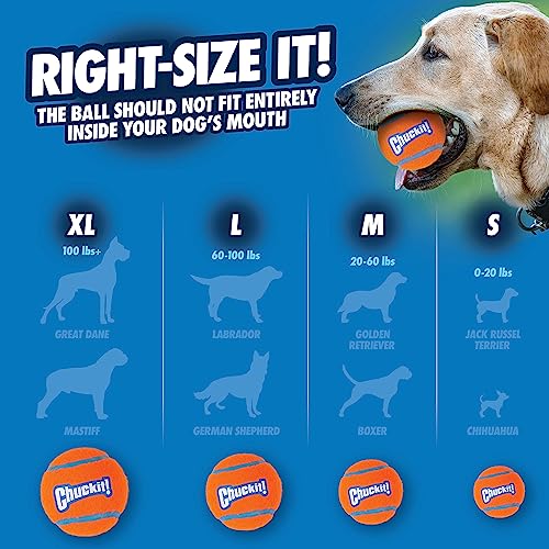 Chuckit 7404 Tennis Ball Medium - 4 Stücke