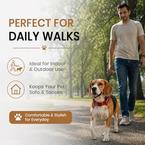 Image of Adjustable Nylon Dog Collar for Dogs & Puppies | Durable & Comfortable Neck Belt 1 Inch (Red, Medium)