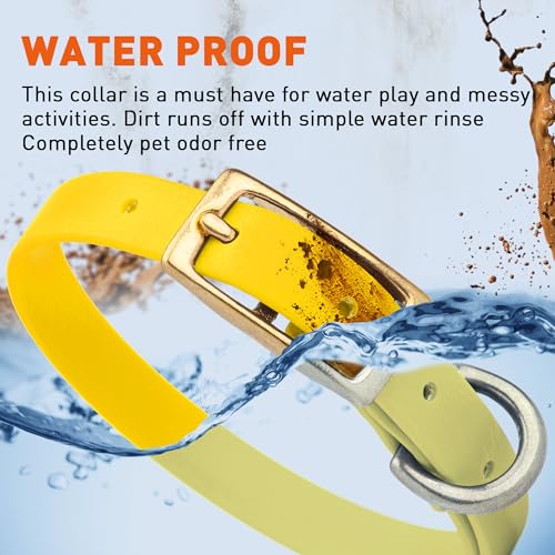 Image of Viper Biothane Heavy Duty Waterproof Dog Collar Strong Coated Nylon Webbing w /Solid Brass Hardware Odor-Proof Easy to Clean High Performance Fits Small Medium or Large Dogs, Lemon Yellow