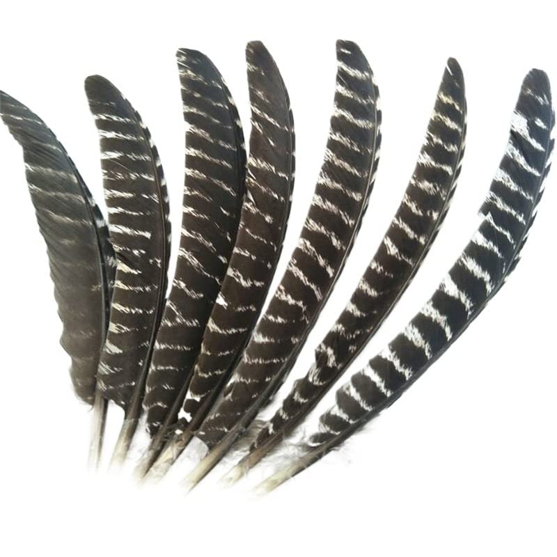 Plumas de águila de 30-35cm naturales para manualidades y decoración de bodas x10
