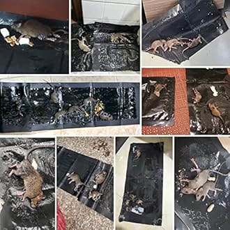 10 Pack Sticky Mouse Trap, Super Large 47.2 * 11'' Glue Traps for Mice, Peanut Taste Pheromone Rats Traps Indoor for Home, Rodent Snakes Spiders Roaches