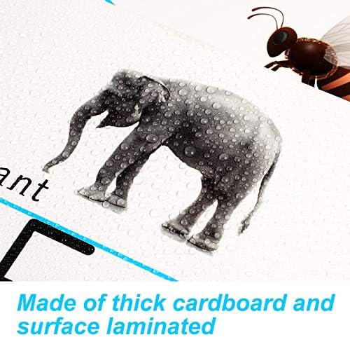 Miniatura 3 de Zonon Juego de tablones de anuncios del alfabeto, manuscrito ABC, decoración de pared para preescolar, jardín de infantes, aula, sala de juegos,