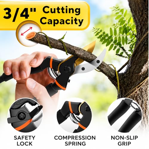Image of COVACURE 8 Inch Heavy Duty Gardening Scissors - Pack of 1 | Plants Scissor | Garden Shear Tree Branch Pruner | Gardening Cutter Tool | Plant Cutter For Home Garden | Wood Branch Trimmer