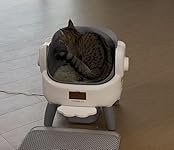 Review Image by Beatrice Gagne