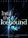 Into the Icebound (Accidental Sorcerers Book 4)