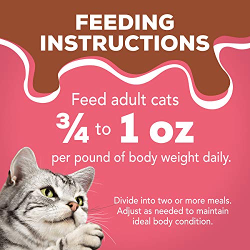 Purina Friskies Gravy Pate Wet Cat Food, Extra Gravy Pate With Salmon In Savory Gravy - (24) 5.5 Oz. Cans #TOP7