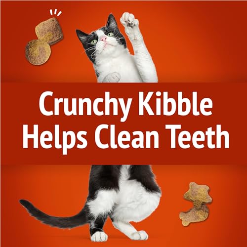 Purina Friskies Party Mix Gravylicious Crunch Cat Treats, (6) 6 oz Pouch - image 5