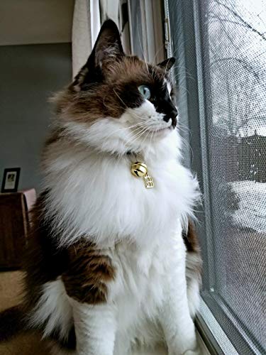 Gold Plated 26 Alphabet English Letters Crystal First Initial Name Charms for Bracelet,Necklace,Zipper Puller2