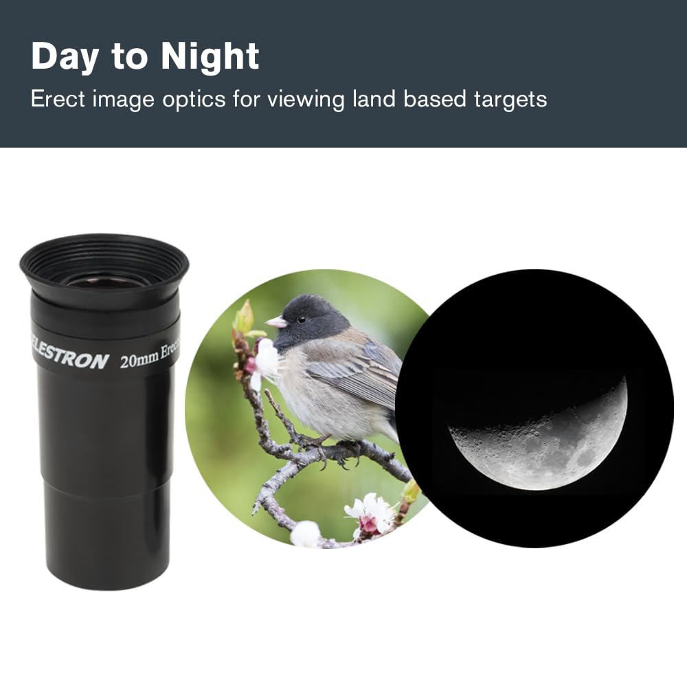 Celestron 31045 AstroMaster 130EQ Newtonian Reflector Telescope, Dark Blue