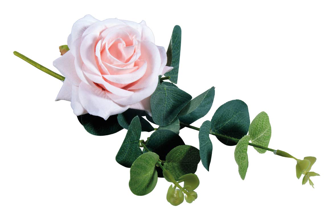 Rayher Rose Pick with Eucalyptus, Pale-Pink, 28cm