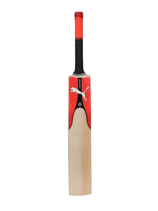 puma evospeed 3 cricket bat