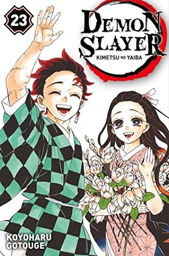 Demon Slayer - Tome 22