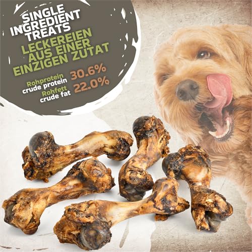 Schweineknochen für Hunde 5 Stück (1,4 kg) | natürlicher Kausnack mit Fleischresten | ideal zur Zahnpflege & Beschäftigung | ohne Zusatzstoff