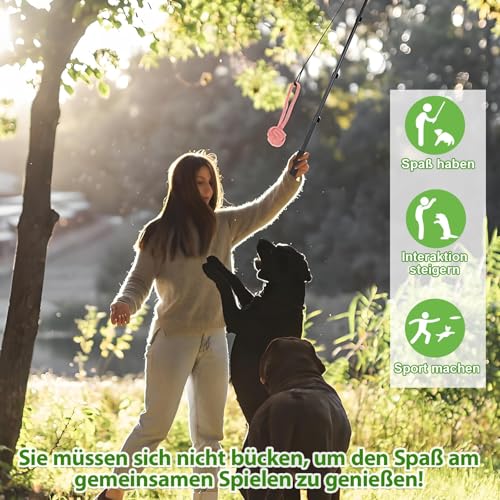 REDKNOT 12 Stück Reizangel Hunde Profi Ausziehbar Interaktive Hundespielzeug mit 2 Tauen, 8 Hund Kauspielzeug Springspielzeug mit Lautes Papier, Glocken für Kleine Große Hunde Haustier Auslastung