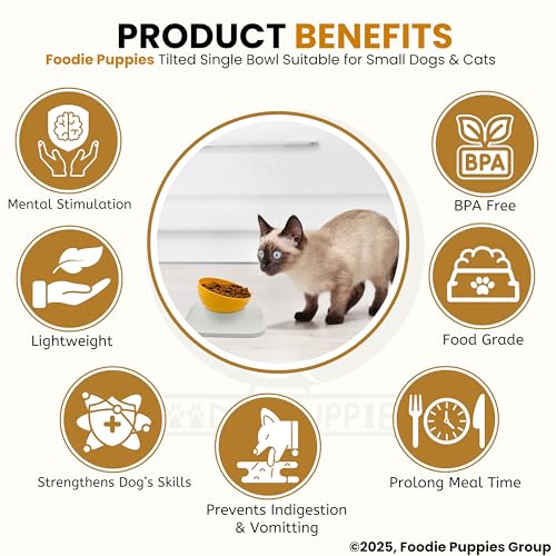 Image of Foodie Puppies Cat Food Bowl with Stand - (Orange, 500ml) Tilted Bowl Food and Water Drinking Feeder Bowl with Non-Skid Base and Easy-to-Clean Design | Suitable for Cats, Puppies and Small Dogs
