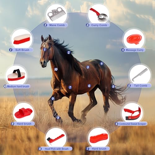 KHEARPSL Kit de higiene de cavalos, escovas de cavalos para cuidados com 10 peças, conjunto de ferra
