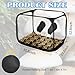 Still Air Box, Mushroom Grow Kit, Portable Compact Still Air Box Mycology for Mushroom Lovers, Mushroom Fruiting Chamber for Mycology Supplies/Home Scientists (35.5x23.5x23.5 inch) - Black