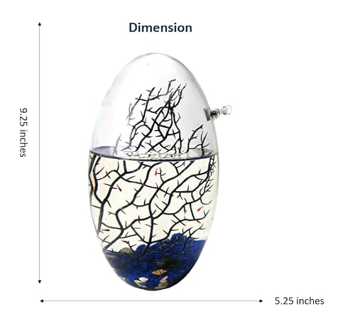 Glass Self Sustaining Shrimp Ecosphere Large Oval Blue - Thumbnail 3