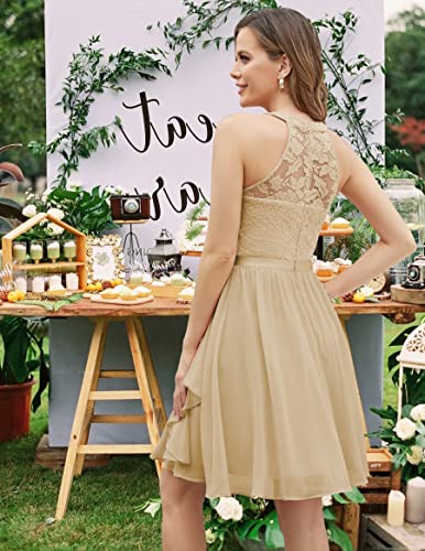 Wedtrend Women's Floral Lace Maternity Baby Shower Dress, Chiffon Swing Short Graduation Dress Sleeveless Halter Semi Formal Dress Backless A-Line Cocktail Dress Wt0213Champagne2Xl #TOP3