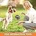 Qirvaten Dog Calming Ball with Handle, Interactive Football Shape Dogs Toy, Squeaky, The Mellow Dogs Strong Rubber Floating Ball for Water Play, Training, Outdoor Games(Color:Black)