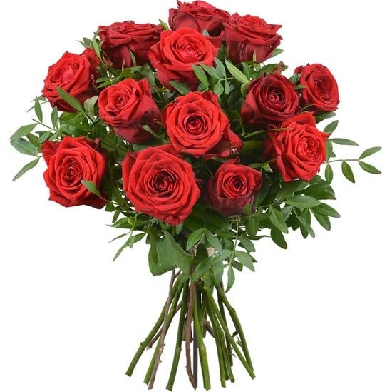 DECOALIVE Ramo de Rosas Rojas Naturales con Dedicatoria Personalizada | Ramo de 25 Rosas de Color Rojo | Entrega Urgente | Ideales para Regalar | Flores Frescas | Nota Personalizada