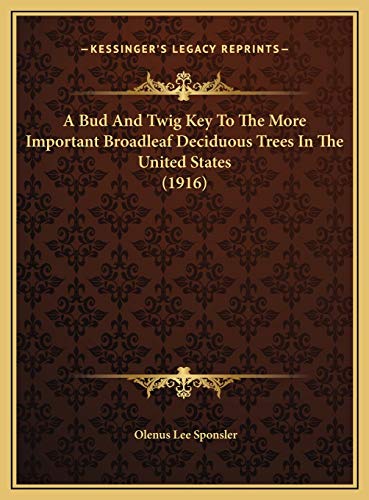A Bud And Twig Key To The More Important Broadleaf Deciduous Trees In The United States (1916)