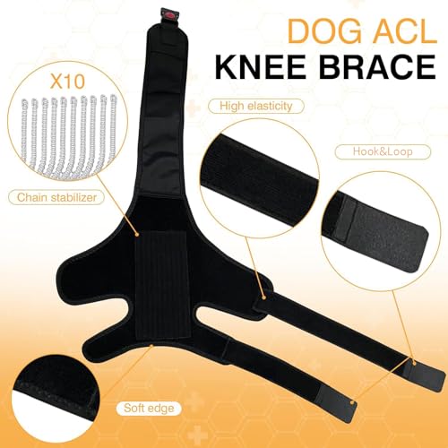 Attelle pour chien confort durable et stabilisation de la rotule