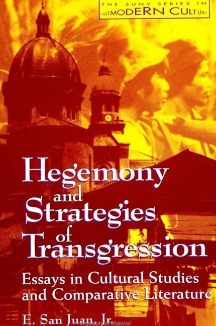 Hegemony and Strategies of Transgression: Essays in Cultural Studies and Comparative Literature (Postmodern Culture)