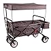 Produktbild Fuxtec Faltbarer Bollerwagen JW-76C grau klappbar mit Dach, Vorderrad-Bremse, Strand-Reifen und Lenkdeichsel, Hecktasche, für Kinder geeignet - Das Original mit Qualität!
