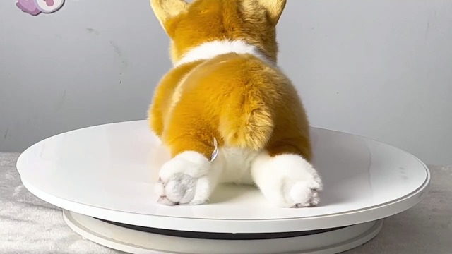 Amazon.com: CU-MATE 16