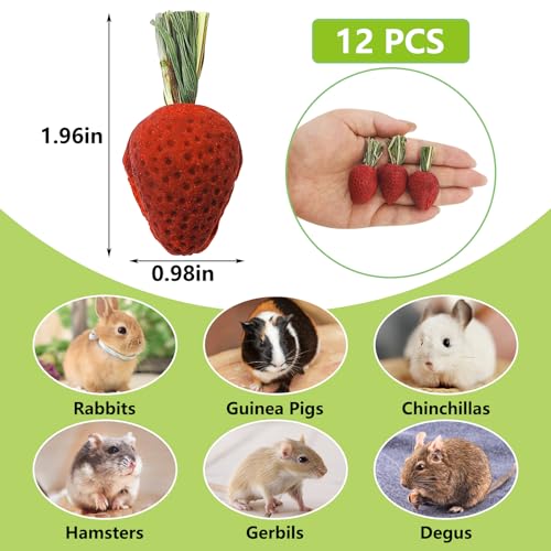 Fhiny Rabbit Chew Toys, 12 PCS Natural Hamster Molar Snacks Handmade Small Animal Chew Toys for Teeth Timothy Hay Treats Habitat Decor for Bunny Guinea Pig Chinchilla Hamster Gerbil Dental Care
