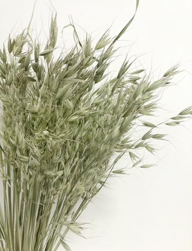 Bouquet de Espigas de Trigo Secas Naturales para Decoración miniatura 1